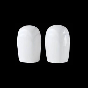 Cruet Set 2 Piece - Each